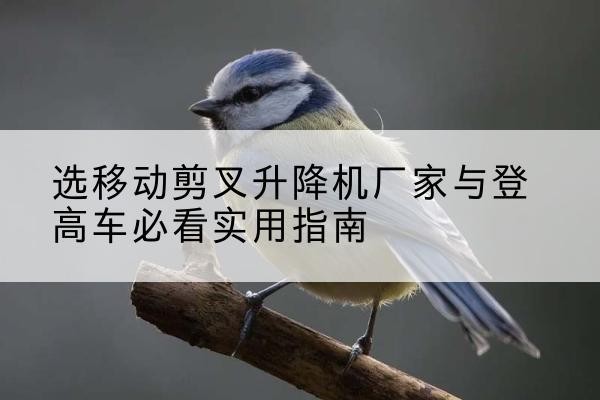 崇义电动升降机厂家-选移动剪叉升降机厂家与登高车必看实用指南