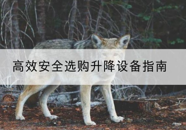 崇义升降货梯厂家推荐-*安全选购升降设备指南