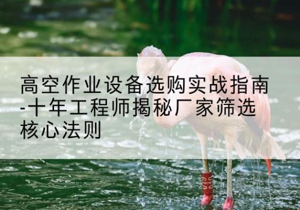 崇义剪叉式升降机厂家-高空作业设备选购实战指南-十年工程师揭秘厂家筛选核心法则